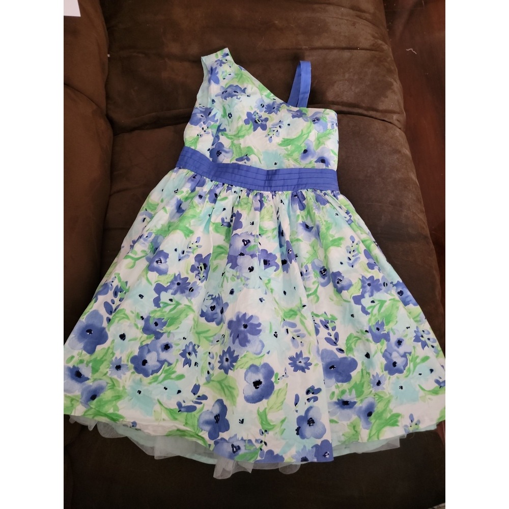 Dressed up by Gymboree family brunch spring floral Easter dress size 8